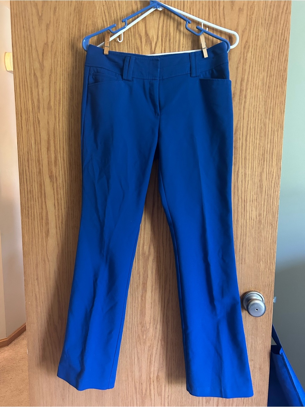 New York & Company Cobalt Blue Boot Cut Pants